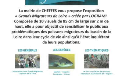 Expo LOGRAMI sur les grands migrateurs de Loire
